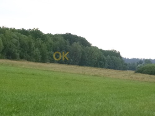 Auction Podíl na pozemku v k.ú. Hněvkov u Mačkova, okr. Strakonice image