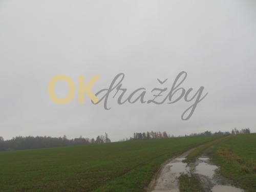 Auction Dražba podílu id. 1/8 na pozemcích v k.ú. Církvice, okres Kolín image