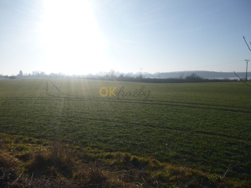 Auction Podíl 1/9 na pozemku v k.ú. Tovačov, okr. Přerov image