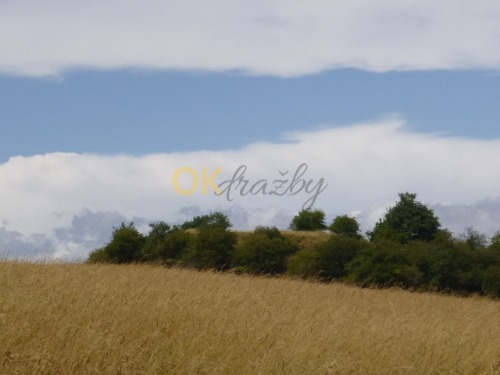 Auction Pozemek v k.ú. Hořenec, okres Louny image