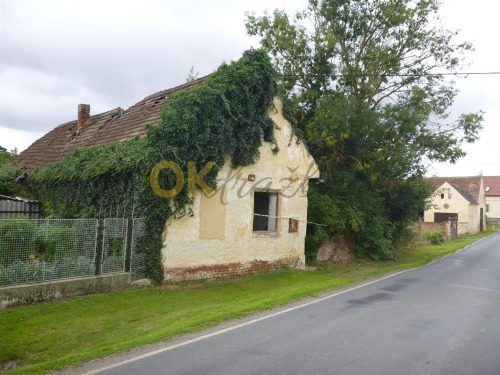 Auction id. 1/7  pozemku s torzem domu v Blížejově, okr. Domažlice image