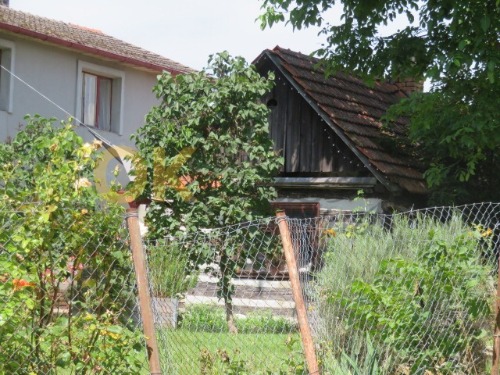 Auction Opakovaná dražba chaty v obci Újezd u Chocně, okres Ústí nad Orlicí image