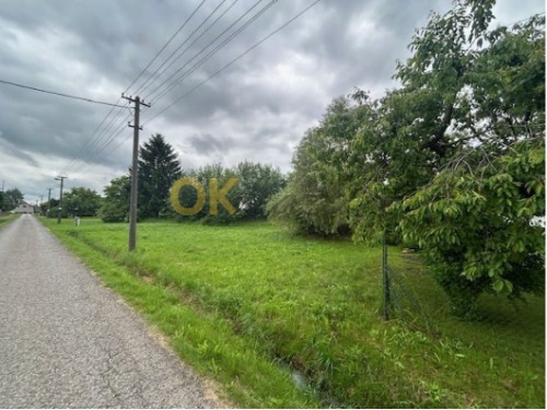 Auction Dražba nemovitosti v obci kocbeře image