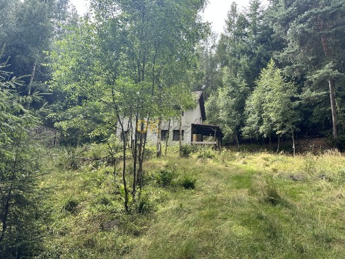 Auction Rekreační objekt v obci Žďár, k. ú. Otěvěky image