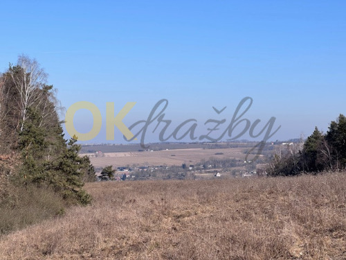 Auction parcely - trvalý travní porost - obec Týn nad Vltavou image