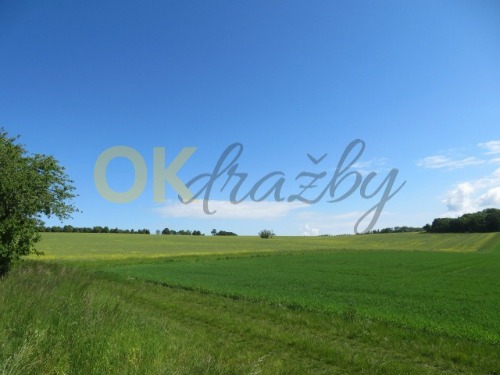 Auction Ideální spoluvlastnický podíl o velikosti 1/20 - pozemky, k.ú. Domažlice image