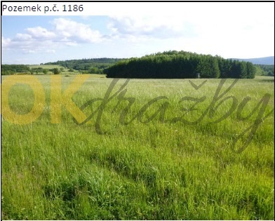 Auction Podíl 1/2 na pozemcích v k.ú. Přešín, okres Plzeň - jih image
