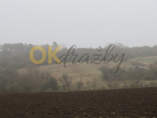 Auction Dražba podíl id. 3/8, pozemky, Žatec  image