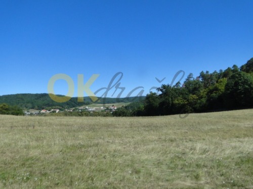 Auction id. 1/2 pozemku v Herolticích, okr. Brno - venkov image