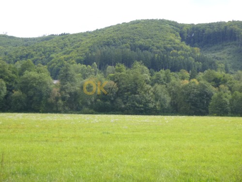 Auction Podíl 1/14 na pozemcích v k.ú. Tatenice, okres Ústí nad Orlicí image