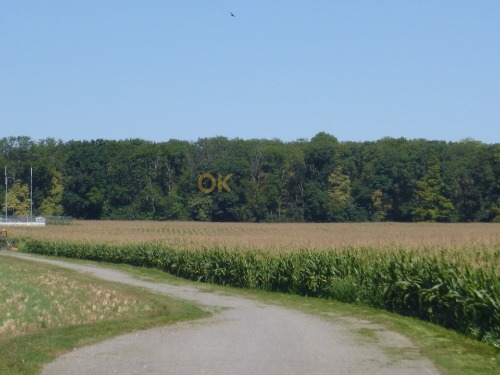 Auction Podíly na pozemcích v k.ú. Dolní Bojanovice, okr. Hodonín image