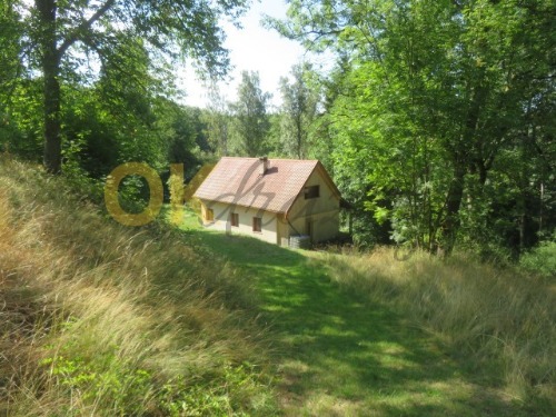 Auction Dražba chata, Planá  image