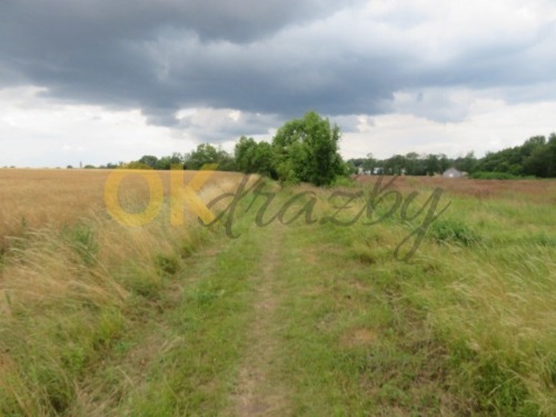 Auction Pozemky v k. ú. Ptice, okres Praha-západ image