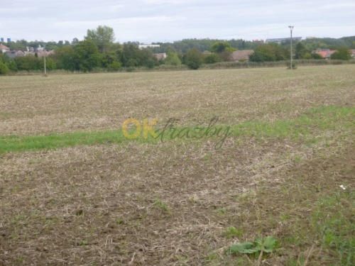 Auction Podíl na zemědělském pozemku v k.ú. Tasovice nad Dyjí, okr. Znojmo image