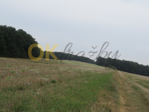 Auction Ideální podíl 1/9 pozemků Hustopeče nad Bečvou image