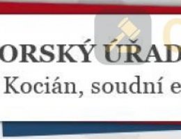 Auction OPAKOVANÁ DRAŽBA id. 1/3 pozemku (orná půda) v Doňově, okr. Jindřichův Hradec image