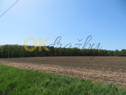 Auction Dražba spoluvlastnického podílu id. 1/8, orná půda, Libáň image